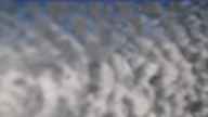 20240224_130002.jpg 