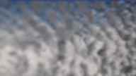 20240224_132002.jpg 