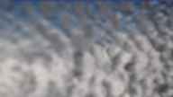 20240224_134002.jpg 