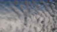 20240224_150001.jpg 