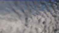 20240224_152002.jpg 