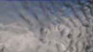 20240224_160002.jpg 