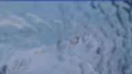 20240224_174002.jpg 