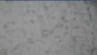 20240225_064002.jpg 