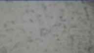 20240225_070002.jpg 