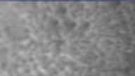 20240226_160002.jpg 