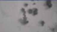 20240227_072002.jpg 