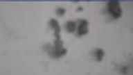 20240227_080002.jpg 