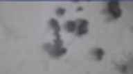 20240227_084002.jpg 