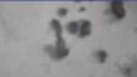 20240227_090002.jpg 