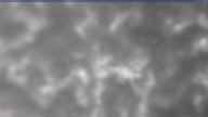 20240301_150002.jpg 