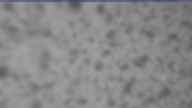 20240303_130002.jpg 