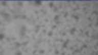 20240303_140002.jpg 