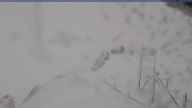 20240305_120002.jpg 