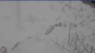 20240305_130002.jpg 