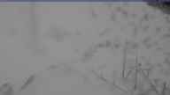 20240305_132002.jpg 