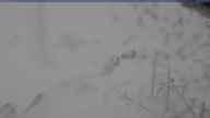 20240305_160001.jpg 