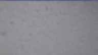 20240306_064002.jpg 