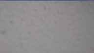 20240306_070002.jpg 