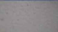 20240306_074002.jpg 