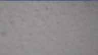 20240306_090002.jpg 