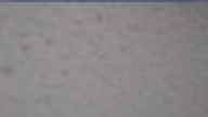 20240306_094002.jpg 