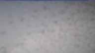20240306_140001.jpg 