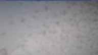 20240306_142002.jpg 