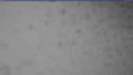 20240306_150002.jpg 