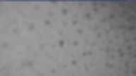 20240306_160002.jpg 