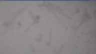 20240309_110002.jpg 