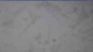 20240309_160002.jpg 