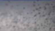 20240310_120002.jpg 