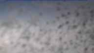 20240310_124002.jpg 