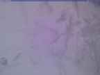 20240312_174002-1.jpg 