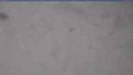20240313_084002.jpg 