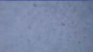 20240314_064002.jpg 