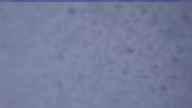 20240314_070002.jpg 