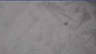 20240314_124002.jpg 