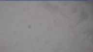 20240317_084002.jpg 