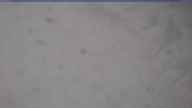 20240317_090002.jpg 