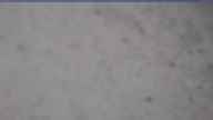 20240317_130002.jpg 