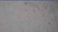 20240317_140002.jpg 