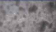 20240319_080002.jpg 