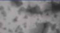 20240320_070002.jpg 