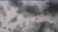 20240320_110002.jpg 