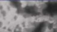 20240320_130002.jpg 