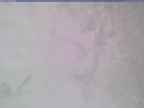 20240323_094002-1.jpg 