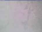 20240323_100001-1.jpg 