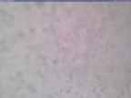 20240323_124002-1.jpg 